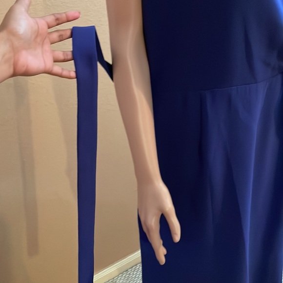 Blue Dress - Picture 10 of 16